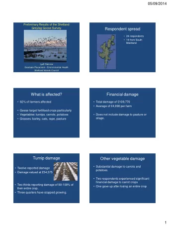 Respondent spread  24 respondents  14 from South  Mainland  Lyall Halcrow Graduate Placement