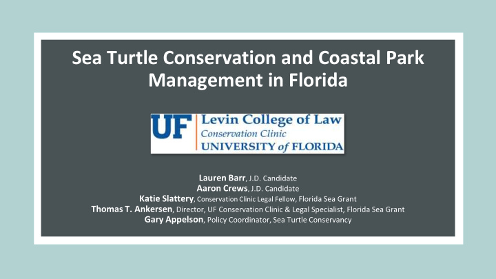 sea turtle conservation and coastal park management in