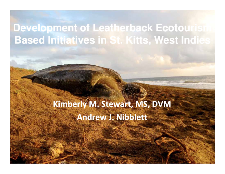 development of leatherback ecotourism development of