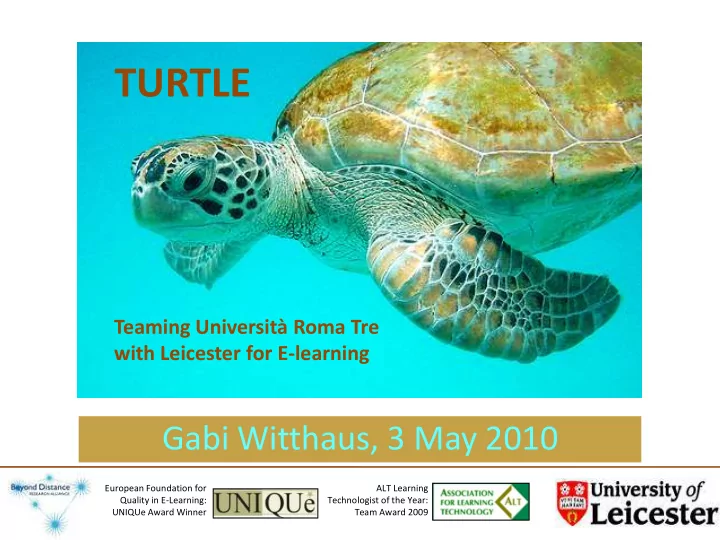 turtle