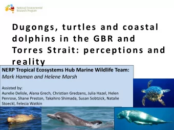 dolphins in the GBR and  Torres Strait: perceptions and  reality  NERP Tropical Ecosystems Hub