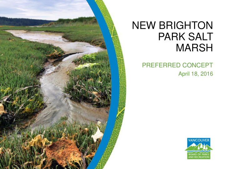 new brighton park salt marsh