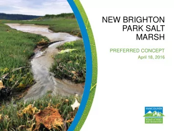 NEW BRIGHTON  PARK SALT  MARSH  PREFERRED CONCEPT  April 18, 2016  Recommendations  A. THAT the