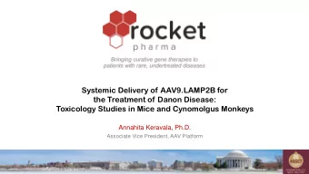 the Treatment of Danon Disease:  Toxicology Studies in Mice and Cynomolgus Monkeys  Annahita