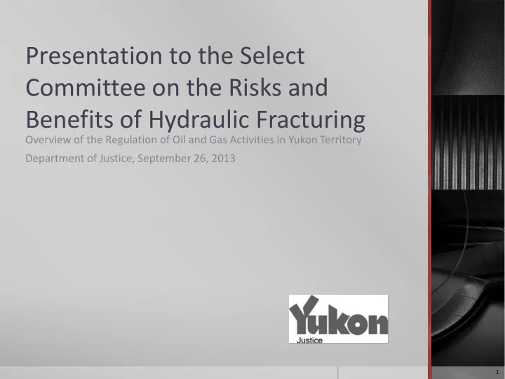 committee on the risks and