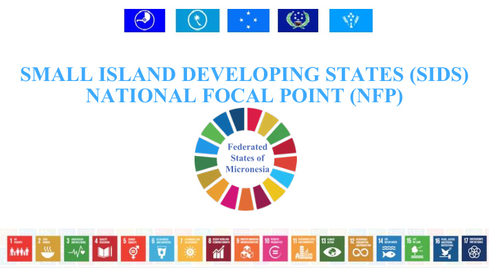 small island developing states sids national focal point