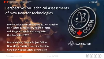 Perspectives on Technical Assessments  of New Reactor Technologies  Molten Salt Reactor Workshop