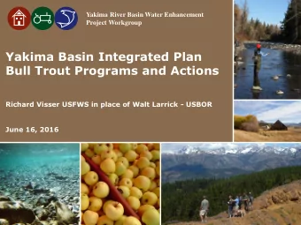 Yakima Basin Integrated Plan  Bull Trout Programs and Actions  Richard Visser USFWS in place of