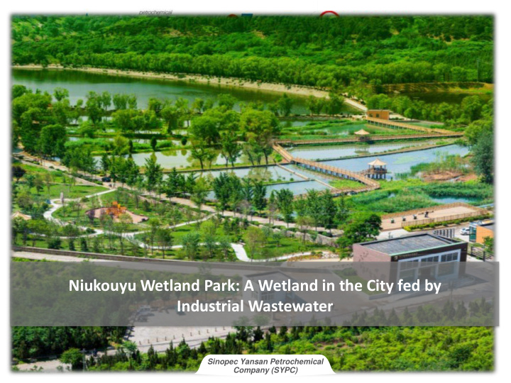 niukouyu wetland park a wetland in the city fed by