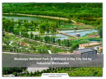 Niukouyu Wetland Park: A Wetland in the City fed by  Industrial Wastewater  Sinopec Yansan