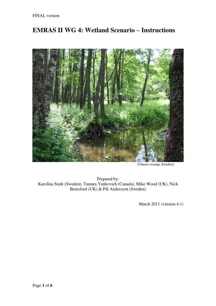 emras ii wg 4 wetland scenario instructions