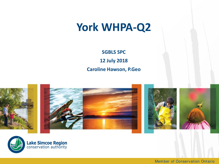 york whpa q2