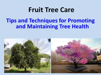 Fruit Tree Care  Tips and Techniques for Promoting  and Maintaining Tree Health  The health of