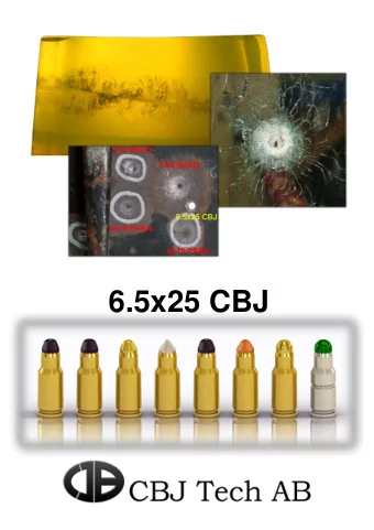 6.5x25 CBJ  Pistols and submachine guns are weapons with distinct  benefits such as low weight,