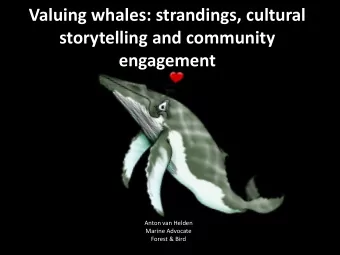 Valuing whales: strandings, cultural  storytelling and community  engagement  Anton van Helden