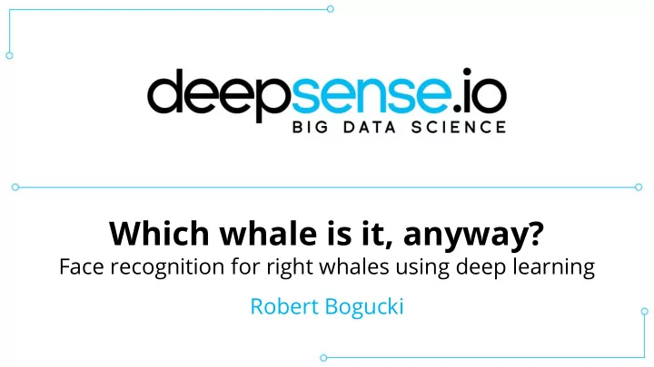 which whale is it anyway