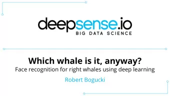 Which whale is it, anyway?  Face recognition for right whales using deep learning  Robert Bogucki