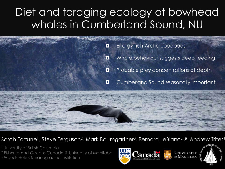 diet and foraging ecology of bowhead whales in cumberland