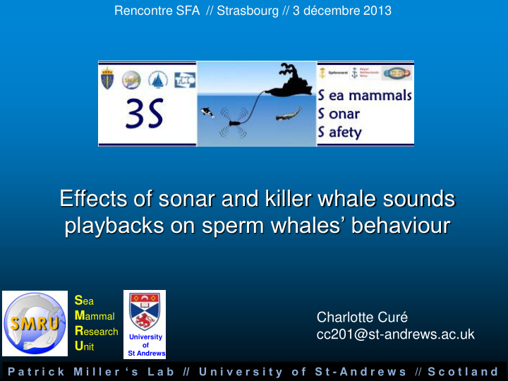 playbacks on sperm whales behaviour