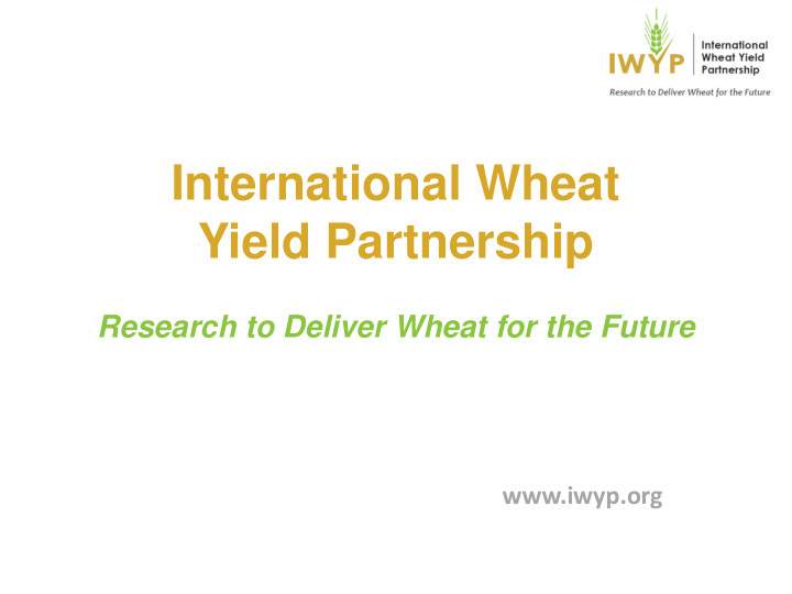 international wheat yield partnership