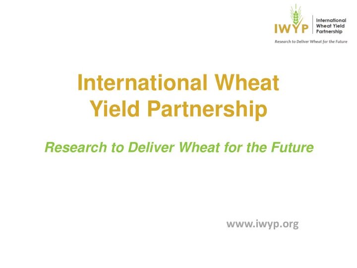 international wheat yield partnership
