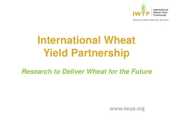 International Wheat  Yield Partnership  Research to Deliver Wheat for the Future  www.iwyp.org  The