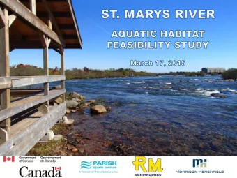 The Study Team Morrison Hershfield (MH) was the lead consultant for the St. Marys River Aquatic