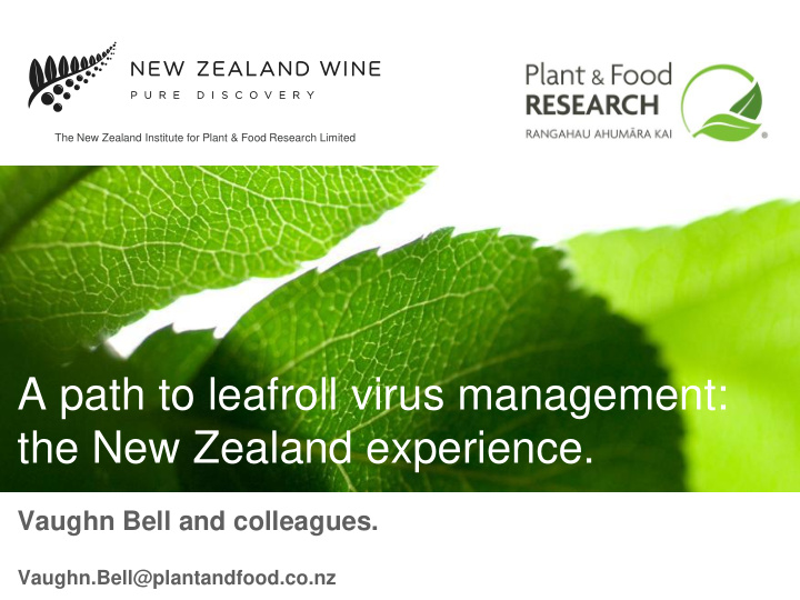 a path to leafroll virus management