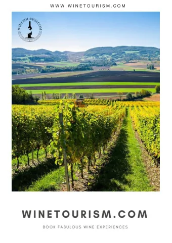 W W W . W I N E T O U R I S M . C O M  P  R  O  J  E  C T O  V  E  R  V  I  E W BUILDING THE