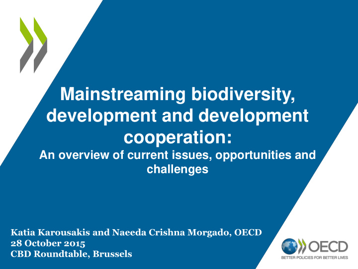 mainstreaming biodiversity development and development
