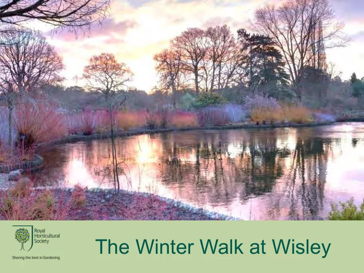 the winter walk at wisley the winter walk at wisley the