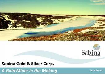 Sabina Gold &amp; Silver Corp.  A Gold Miner in the Making  November 2013  Forward Looking