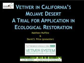 BUT!  no strategy or initiatives for replanting with natives  High Desert Tall Pot &amp; Mojave