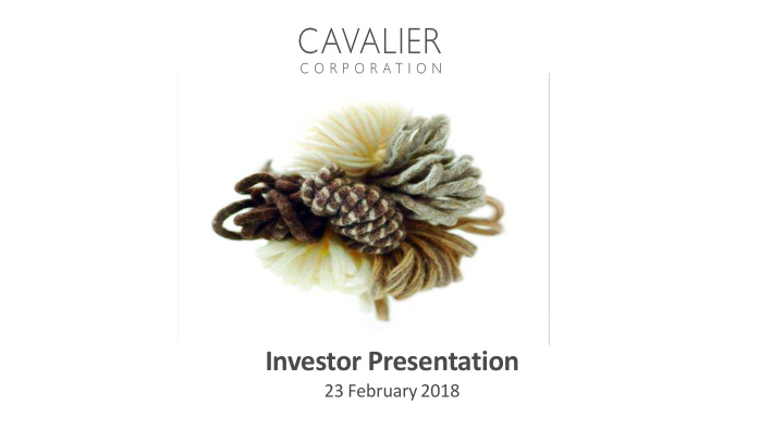 investor presentation