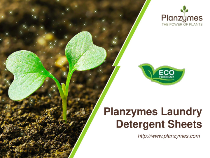 planzymes laundry detergent sheets