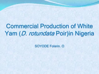 Commercial Production of White Yam ( D. rotundata Poir)in Nigeria  SOYODE Folarin. O  OUTLINE