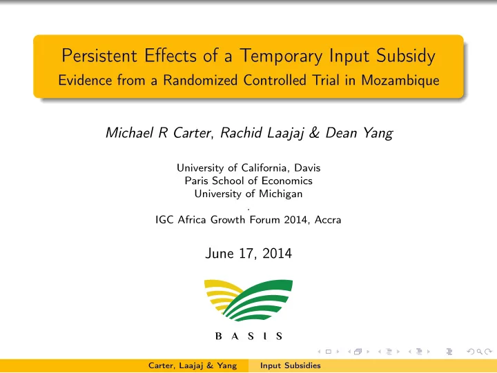 persistent effects of a temporary input subsidy