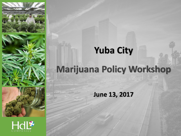 marijuana policy workshop