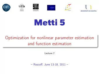 Metti 5  Optimization for nonlinear parameter estimation  and function estimation  Lecture 7