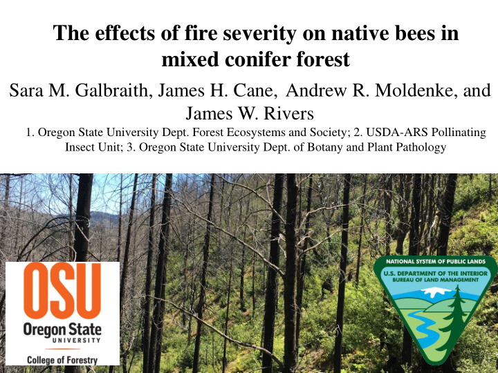 the effects of fire severity on native bees in mixed