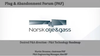 Plug &amp; Abandonment Forum (PAF)  Desired P&amp;A direction - P&amp;A Technology Roadmap  Martin