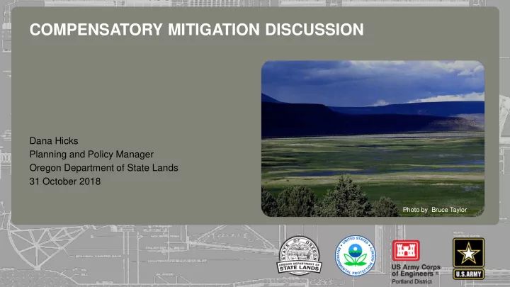 compensatory mitigation discussion