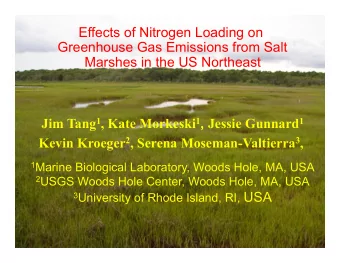 Effects of Nitrogen Loading on  Greenhouse Gas Emissions from Salt  Marshes in the US Northeast Jim