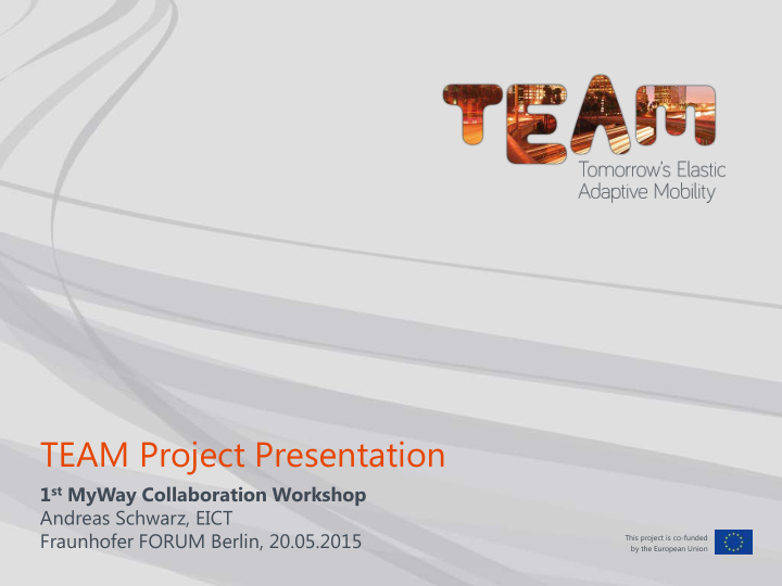 team project presentation