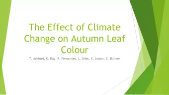 The Effect of Climate  Change on Autumn Leaf  Colour  T. Ashford, C. Day, R. Fernandes, L. Giles,