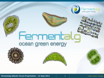 1 Ocean Green Energy  MICROALGAE :  A VAST SOURCE OF PRODUCTIVE ORGANISMS  A MIXOTHOPHIC