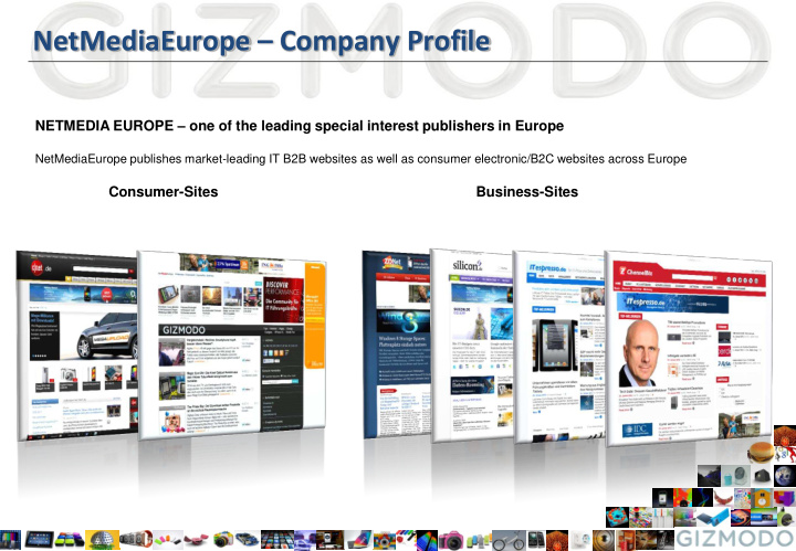 netmediaeurope company profile