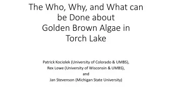 be Done about  Golden Brown Algae in  Torch Lake  Patrick Kociolek (University of Colorado &amp;
