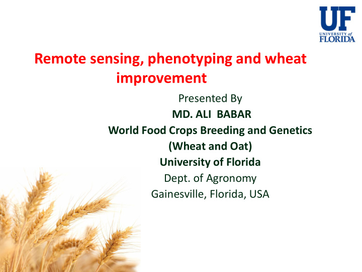 remote sensing phenotyping and wheat