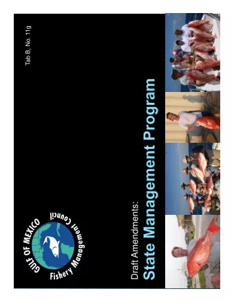 Draft Amendments:  Current preferred alternatives  How state management would work  Issues